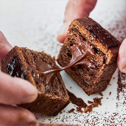 Cacao Barry Plein Arome Cocoa Powder